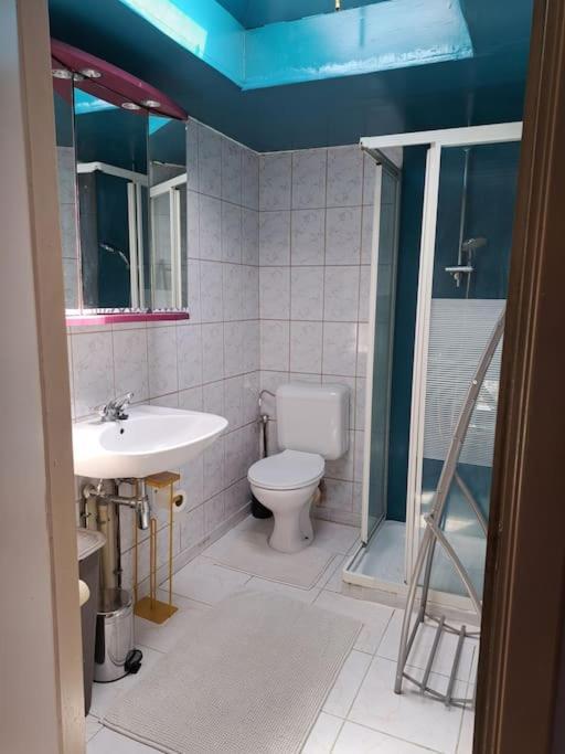 Convivial Apartment